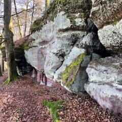 24-02-29 12-17-36 8837